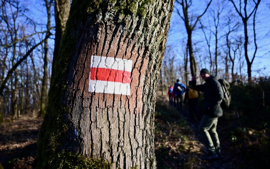 Erdősuli túra a Visegrádi-hegységben